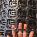 40/40 KNALASICZNE Plastikowy plastik geoprid pp biosiowa geogrid